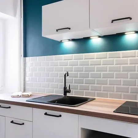 L'alerion Nanceien - Appt Pour 2 A * Nancy