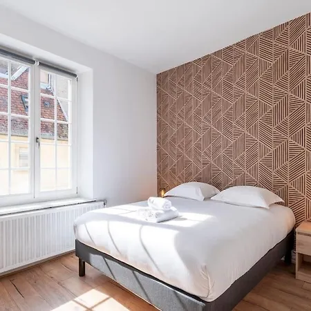 Apartment L'alerion Nanceien - Charme Au Coeur De Nancy