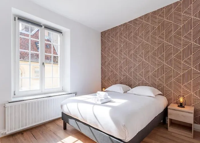 Apartment L'alerion Nanceien - Appt Pour 2 A Nancy